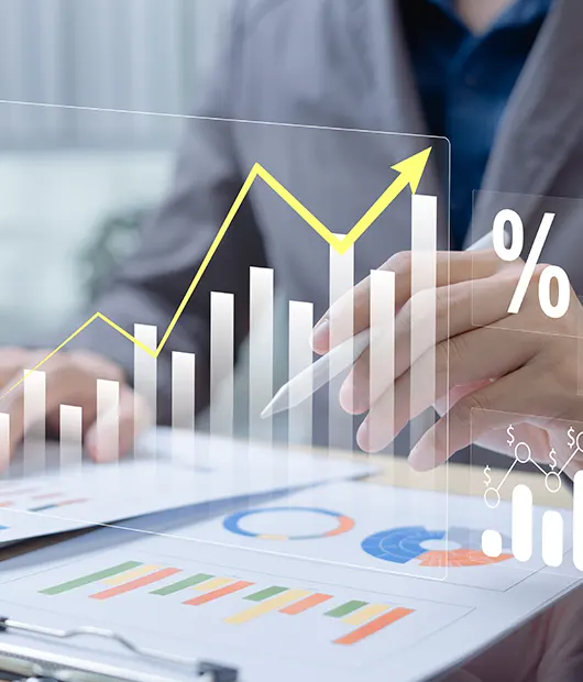 Understanding the mechanisms of economic evolution
